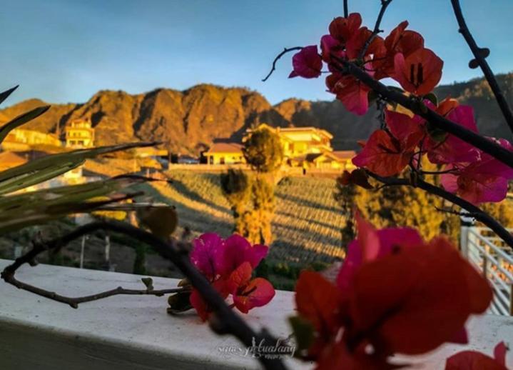 Bromo Otix Guest House Exterior photo